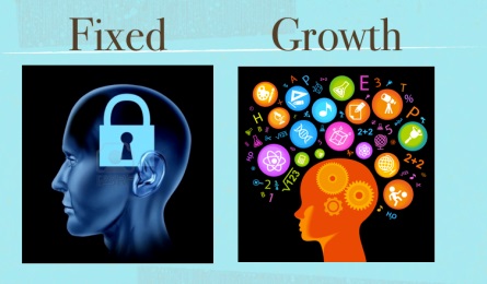 fixed vs growth mindset quiz